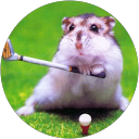 zek omg profile picture